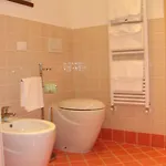 Bosco Romagno Cividale del Friuli